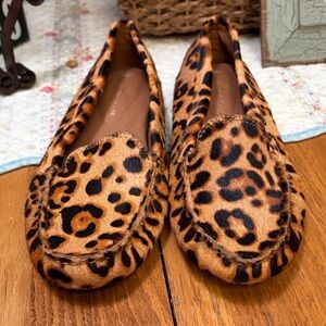 ANTONIO MELANI Cheetah Print Drivers